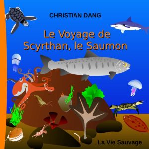 Le Voyage de Scyrthan, le Saumon