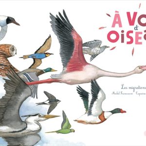 A vol d'oiseau