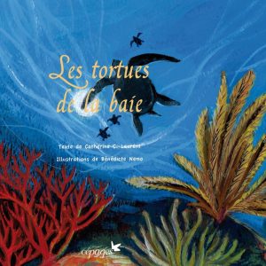 Les tortues de la baie