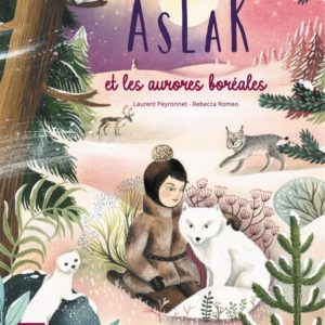 Aslak et les aurores boréale