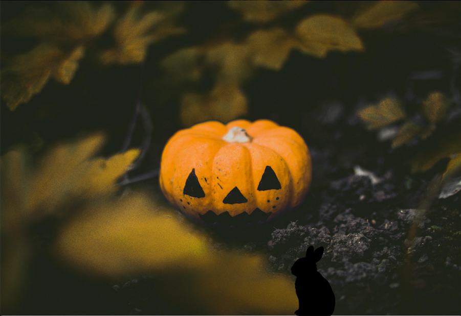 Visuel article Samhain Pancake Voyage